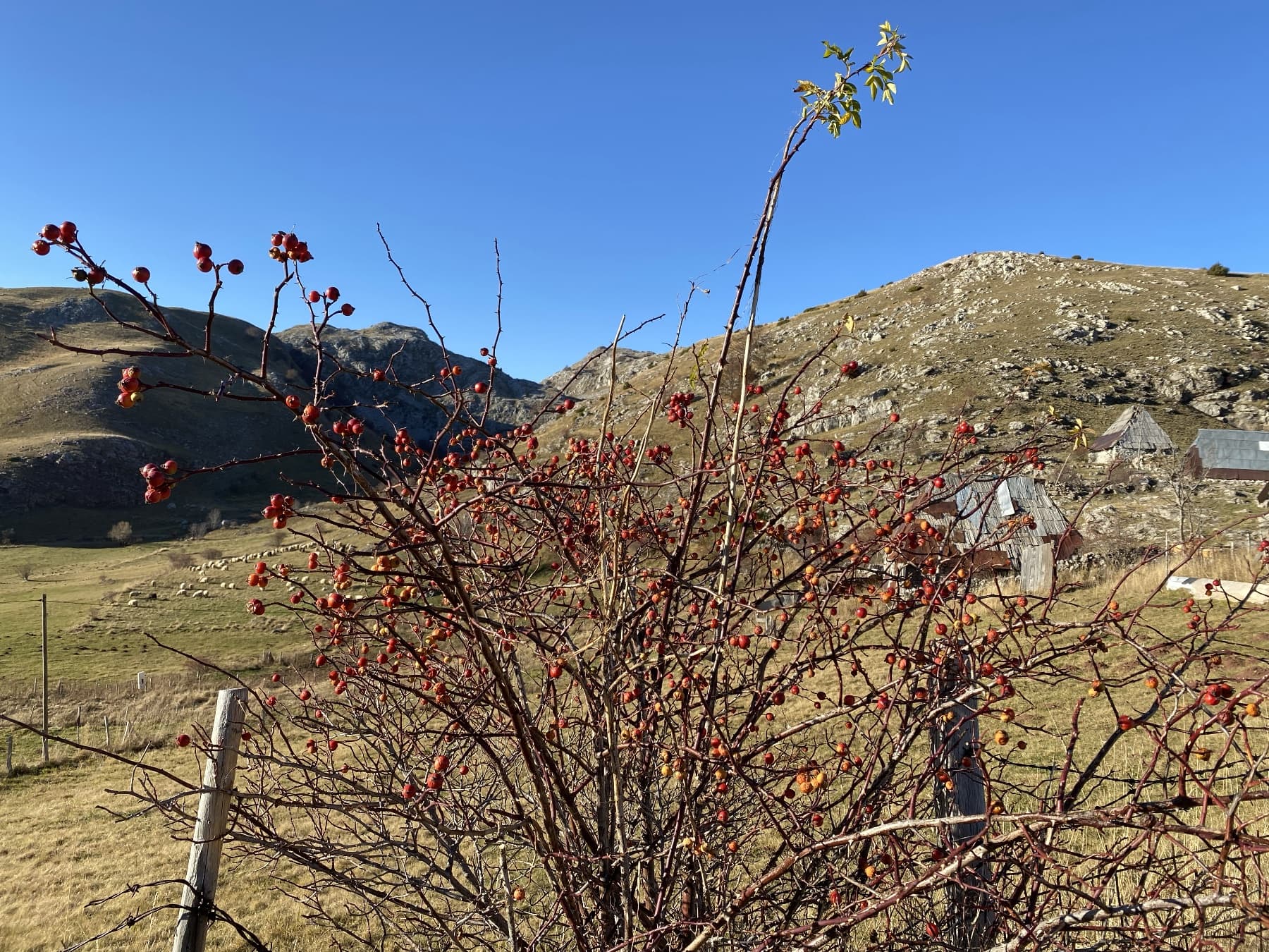 Mountain Village Umoljani - In Search of the Stone Dragon 164